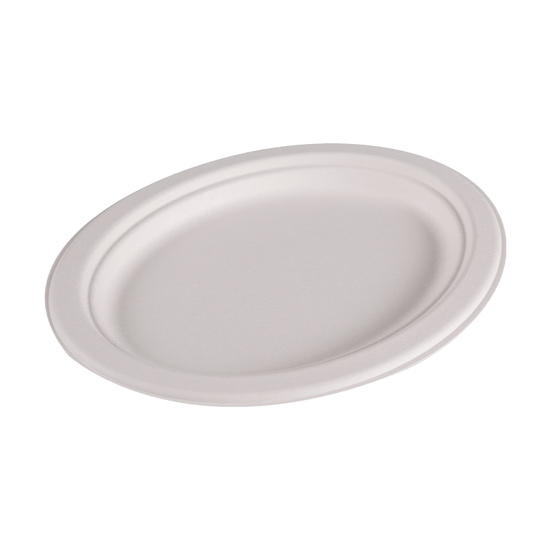 Composteerbaar wegwerp bagasse rond lunchbord