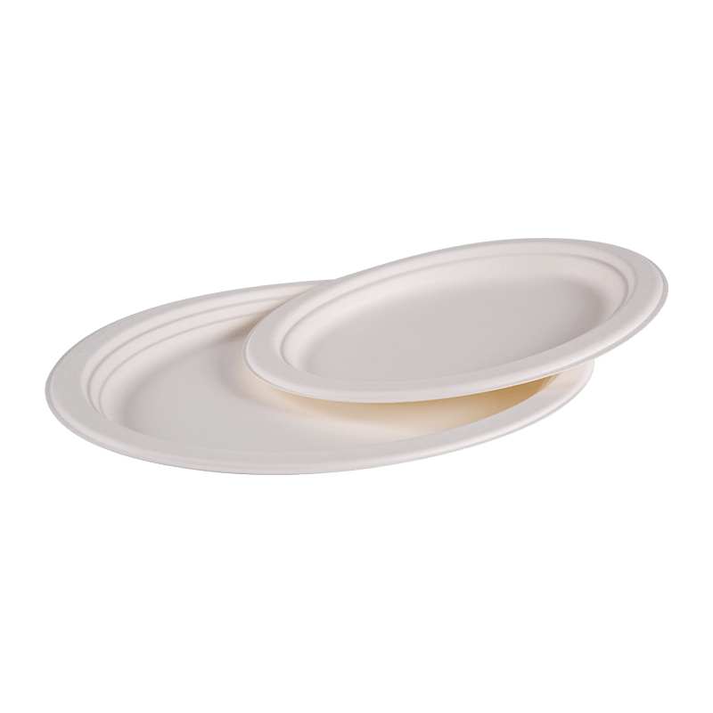 Composteerbaar wegwerp bagasse rond lunchbord