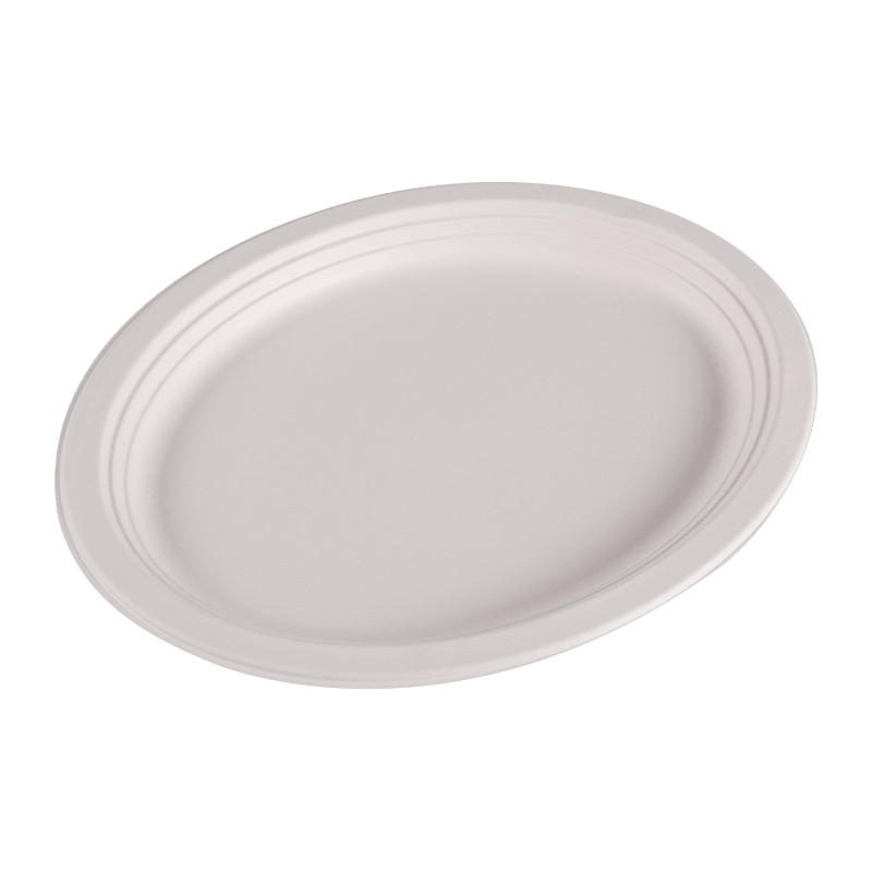 Composteerbaar wegwerp bagasse rond lunchbord