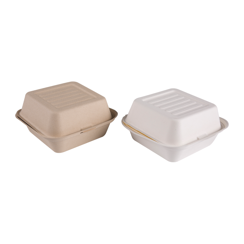 Suikerriet Bagasse Square Takeaway Burger Lunchcontainer